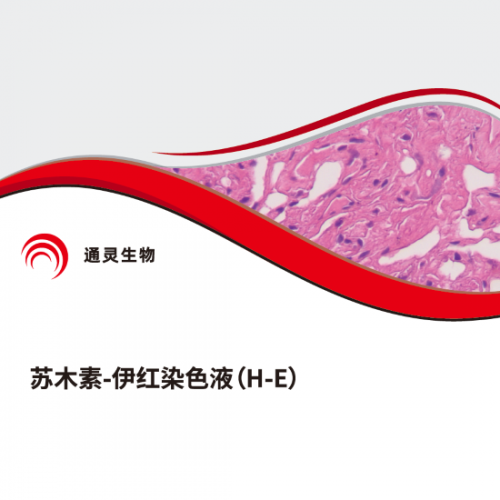 苏木素-伊红高清滴染试剂盒